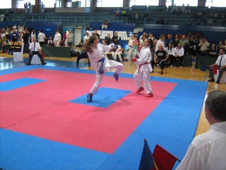 karate2
